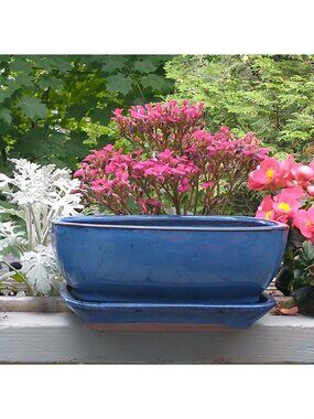 Large 9x7x4" glazed blue ceramic bonsai pot with a matching fixed saucer